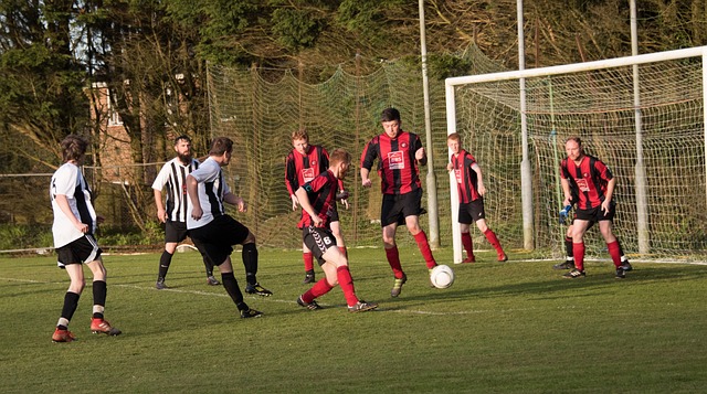 赛季打入了 赛季打入了