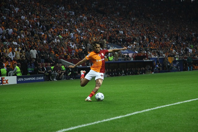 境适应性 境适应性