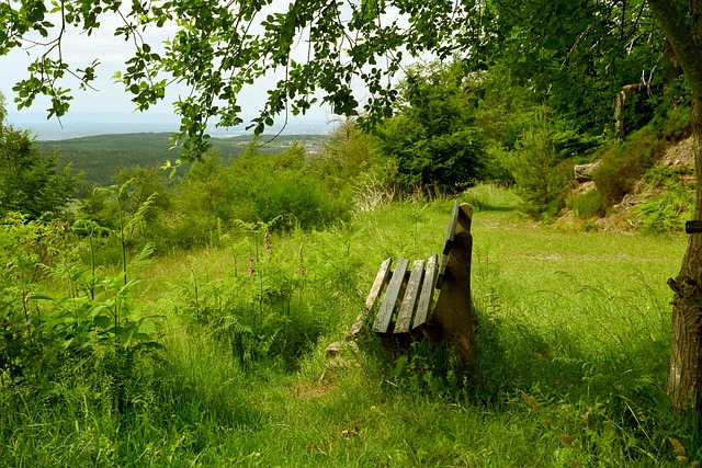 队主车手因 队主车手因