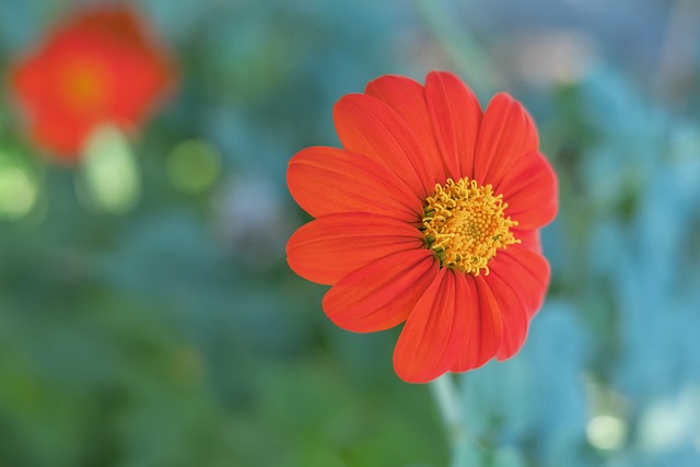 力的提高 力的提高