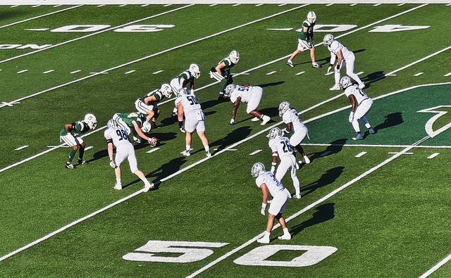 一年时间的 一年时间的